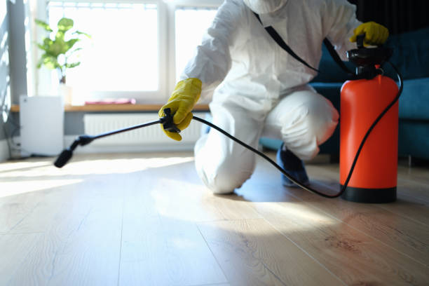 Reliable Blood Cleanup contractor in Springfield, GA by Trauma Clean Pros